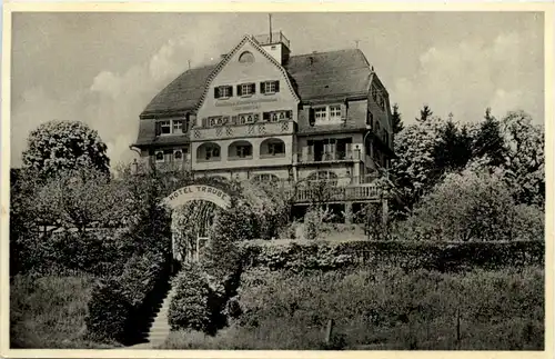 Enzisweiler-Schachen - Hotel Traube -609370