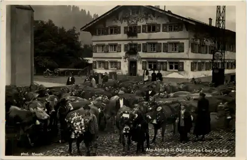 Alp-Abtrieb in Oberstaufen -610128