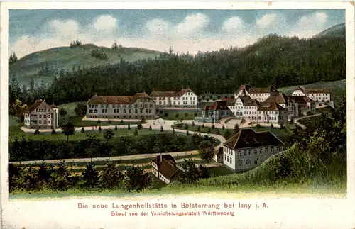 Isny - Lungenheilstätte in Bolsternang - Künstler-AK Eugen Felle -610090