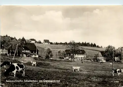 Schellerhau, Kirche -382358