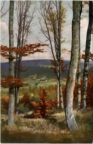 Rehefeld i. Erzgeb., Blick vom Hemmschuh gegen das Schloss Rehefeld -382518