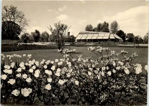 Hamburg, Ausstellung Blumen, Am Tropenhaus -509266