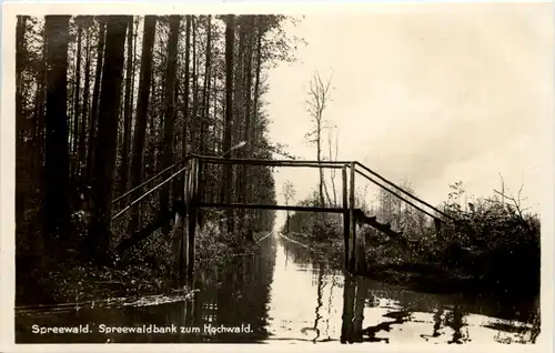 Spreewald, Spreewaldbank zum Hochwald -509796