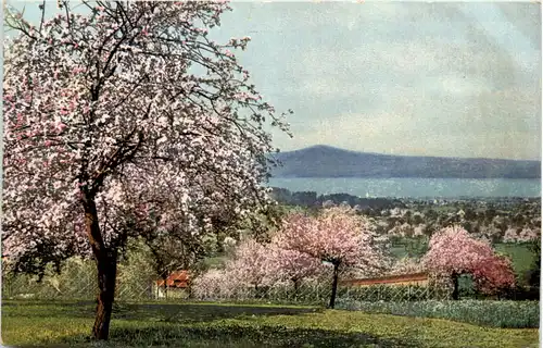 Wasserburg am Bodensee -612166