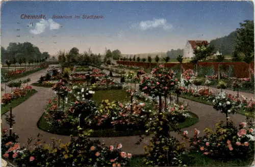 Chemnitz, Rosarium im Stadtpark -383638