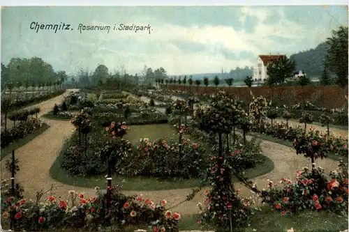 Chemnitz, Rosarium im Stadtpark -383678