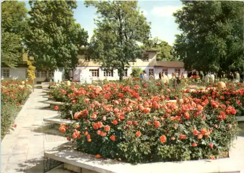 Erfurt, Internationale Gartenbauausstellung der DDR -509114