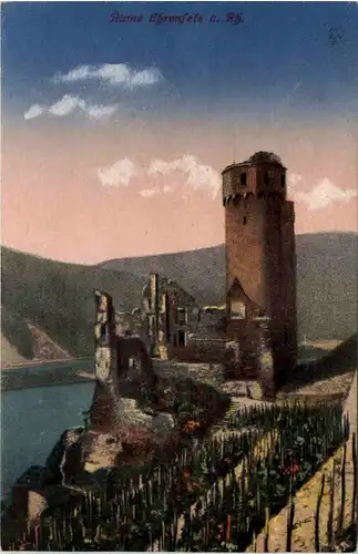 Ruine Ehrenfels am Rhein -509952