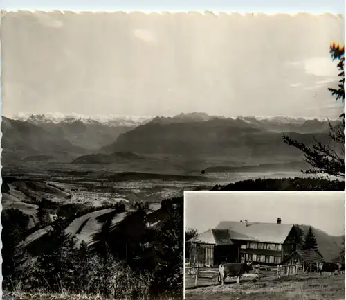 Wald - Alpwirtschaft Farner -489922