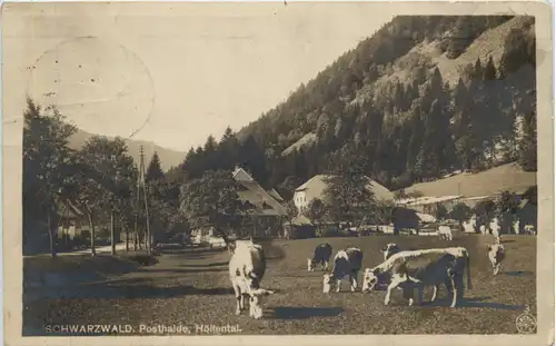 Schwarzwald, Posthalde, Höllental -509354