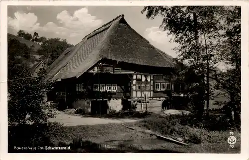 Bauernhaus im Schwarzwald -509374