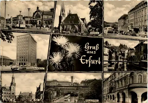 Erfurt, div. Bilder -509128