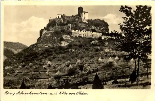 Burg Schreckenstein a.d. Elbe von Süden -509702