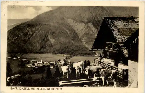 Bayrischzell mit Zeller Niederalm -509530