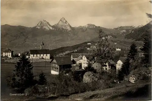 Seelisberg -490562