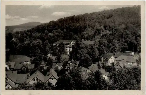 Bad Liebenstein, Blick zum Kurhaus -384988