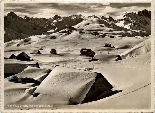 Tannalp Frutt -490642