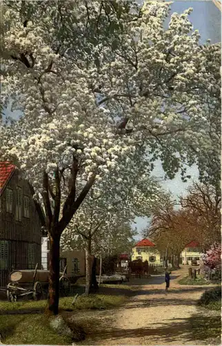 Lindau - Mondnacht am Pulverturm - Litho -612620