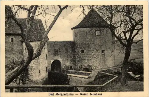 Bad Mergentheim, Ruine Neuhaus -510812