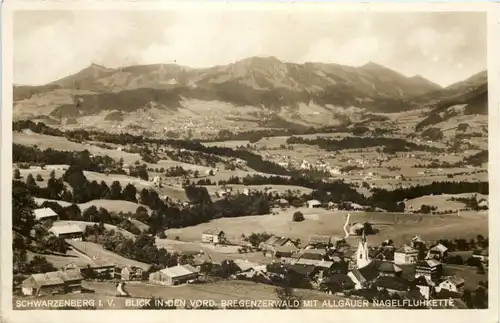 Schwarzenberg i.V., Blick in den Vorderbregenzer Wald -510114