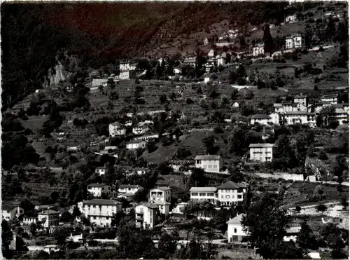 Brissago - Pensione Primavera -490742