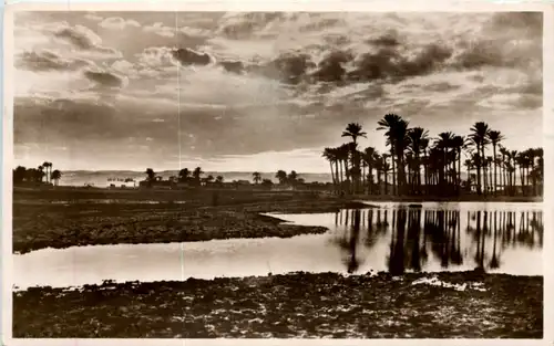 Cairo - Evening on the Nile -613228