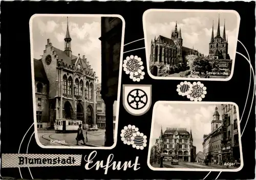 Erfurt, div. Bilder -509124