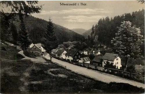 Schwarzwald i. Thür. -510430