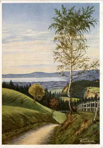 Scheidegg im Allgäu -613058