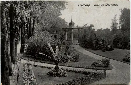 Freiberg, Partie im Albertpark -386688