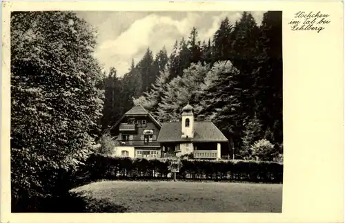 Glöckchen im Tal bei Gehlberg - Suhl -614106