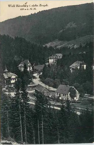 Waldbärenburg, -387622