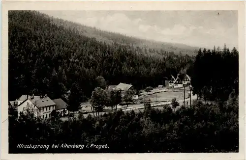 Altenberg i. Erzgeb., Hirschsprung -387686