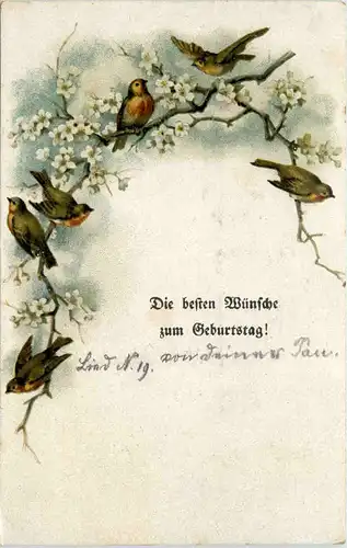 Geburtstag - Vögel -615262