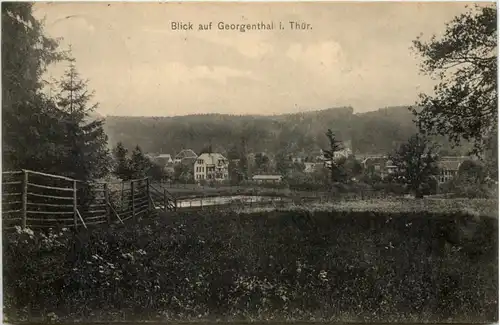 Blick auf Georgenthal -615110