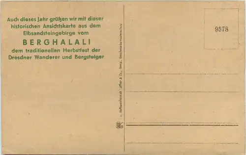 Tetschen - Kettenbrücke und Schloss -494002