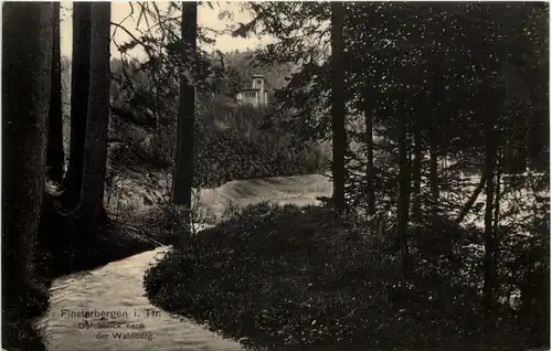 Finsterbergen - Durchblick nach der Waldburg -615180