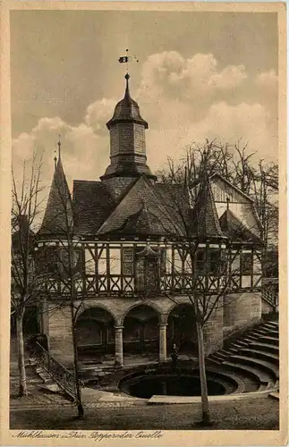 Mühlhausen - Popperoder Quelle -614886