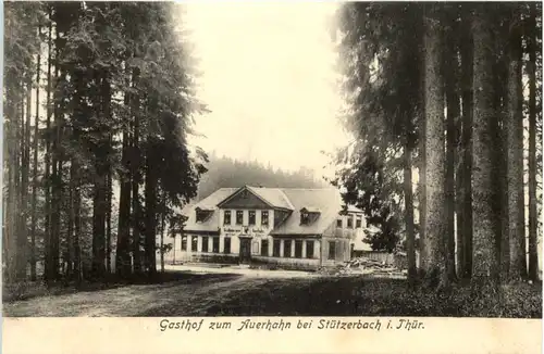 Stützerbach - Gasthof zum Auerhahn -613930