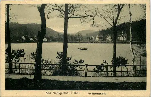 Bad Georgenthal - Am Hammerteich -614010