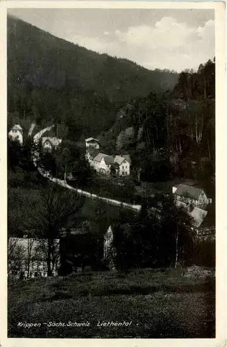 Sächs. Schweiz, Krippen bei Schandau, Liethental -389026