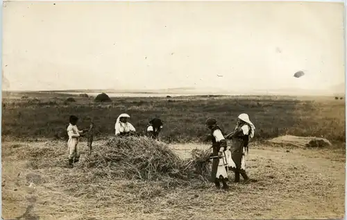 Mazedonien - Feldpost San Komp 641 -615484