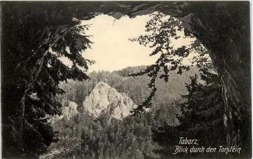 Tabarz - Blick durch den Torstein -614248