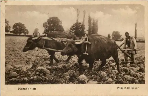 Mazedonien - Pflügender Bauer - Feldpost -615304