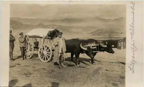 Mazedonien - Feldpost San Komp 641 -615524