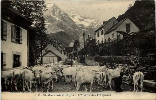 Gavarnie - L Arrivee des Troupeaux -616264