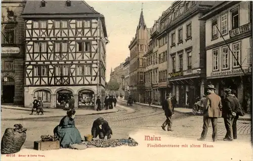 Mainz - Fischthorstrasse -616424