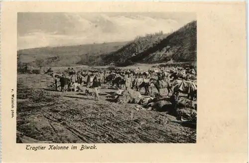 Tragetier Kolonne im Biwak -616914