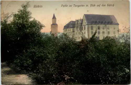 Idstein, Partie im Tiergarten m. Blick auf das Schloss -389906