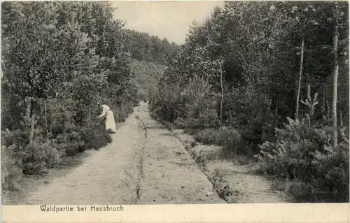 Waldpartie bei Hausbruch -393068